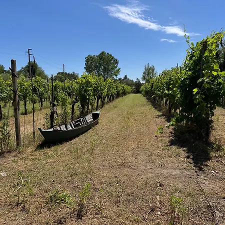 La Vigna Dei Fratelli 3*