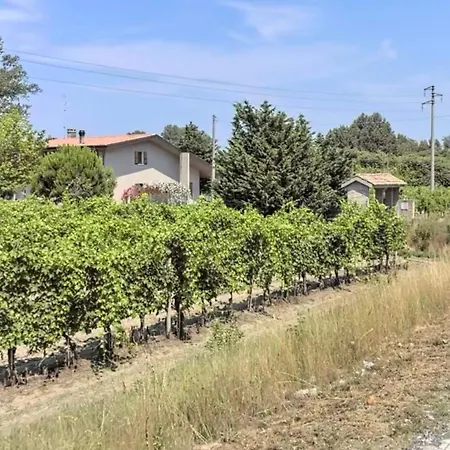 Frühstückspension La Vigna Dei Fratelli 3*