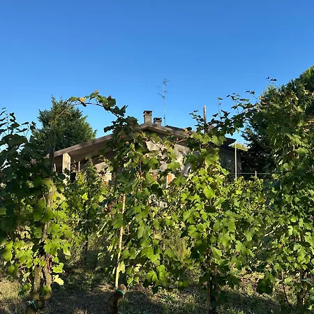 Frühstückspension La Vigna Dei Fratelli Lido degli Scacchi